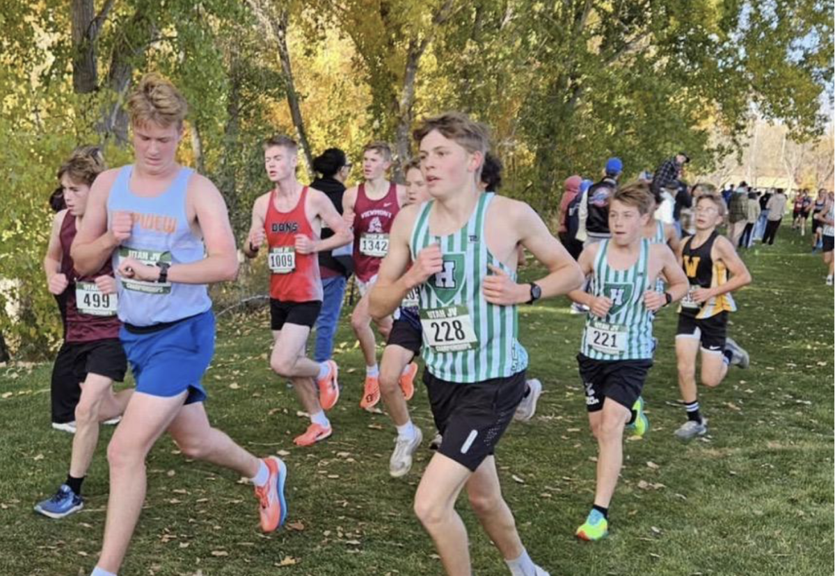 Cross Country Season Review